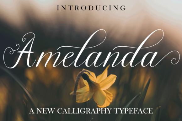 Amelanda: Elegant Script Font