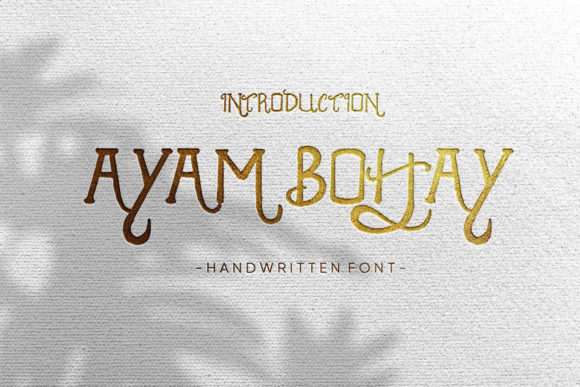 Ayam Bohay: A Classy Handwritten Font