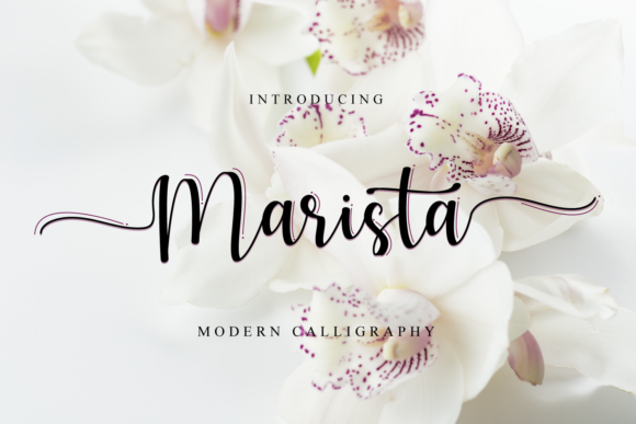 Marista: A Flowing Script for Elegant Design
