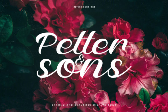 Petter and Sons Font for Business