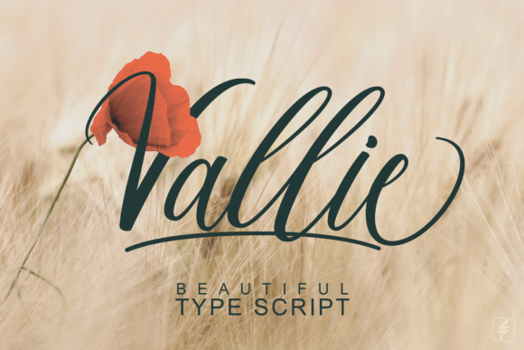 Valiie: A Script Font for Real Design Work